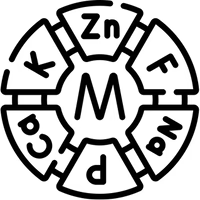 Mineral-Rich